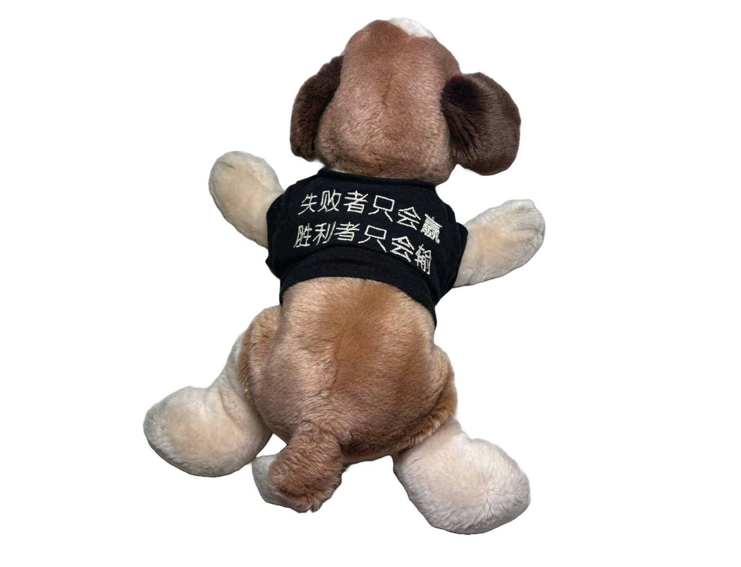 "失败者只能赢 胜利者只能输"