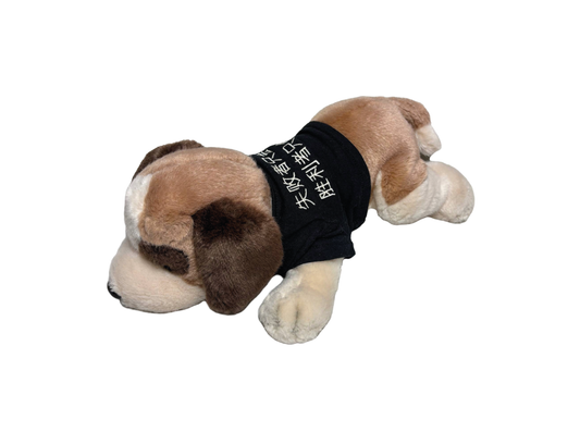 "失败者只能赢 胜利者只能输"